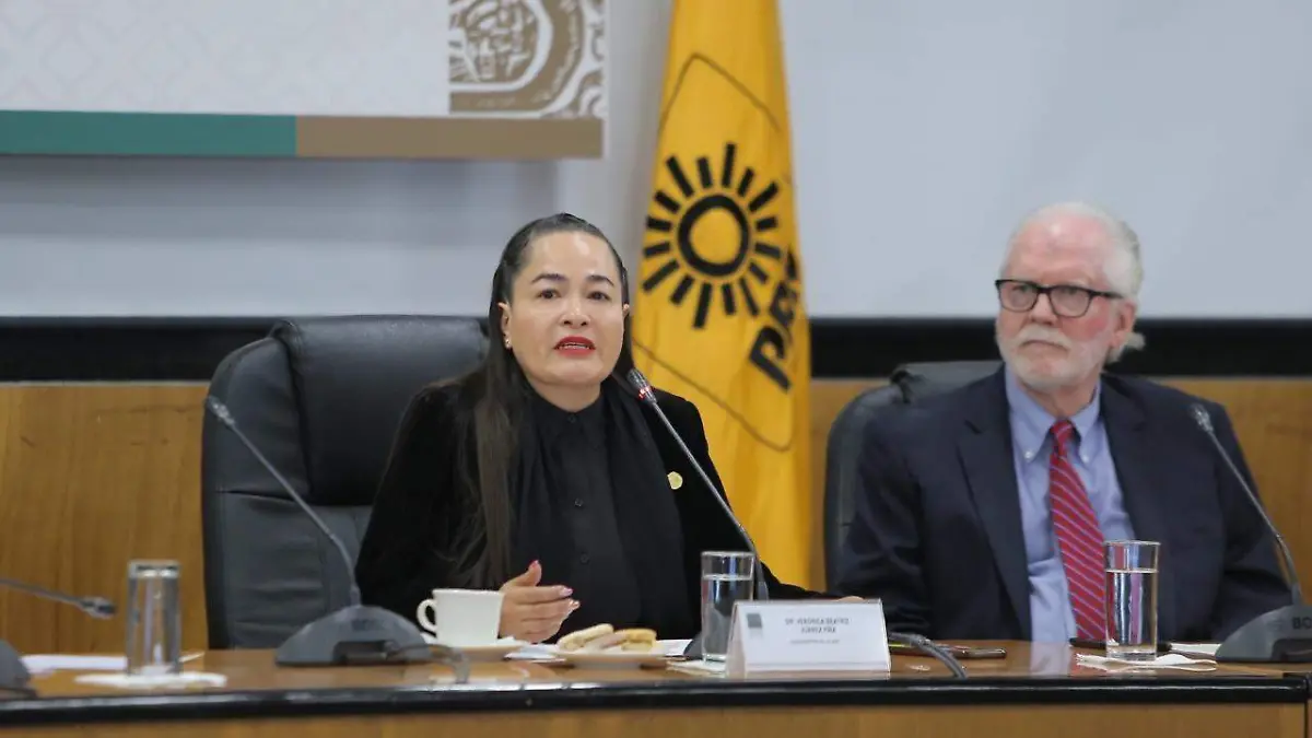 Diputada Verónica Juárez Piña